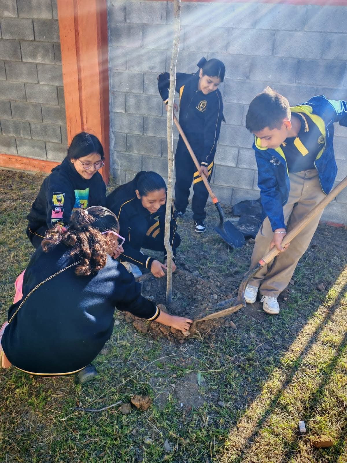 Preparan pulmón escolar: Capacitan a estudiantes en cuidado forestal