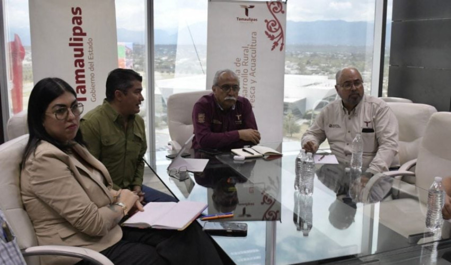 Estructura Tamaulipas proyecto para elevar la producción de carne de calidad