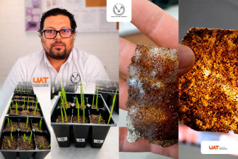 Patenta la UAT bioplásticos que recuperan suelos erosionados