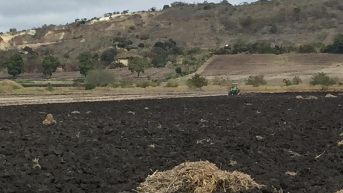 Piden se gestione programa de empleo temporal para favorecer a habitantes del campo