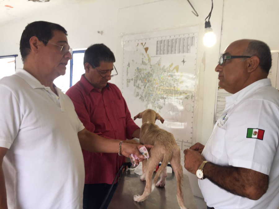 Alerta el sector salud por la presencia de "Giardia"