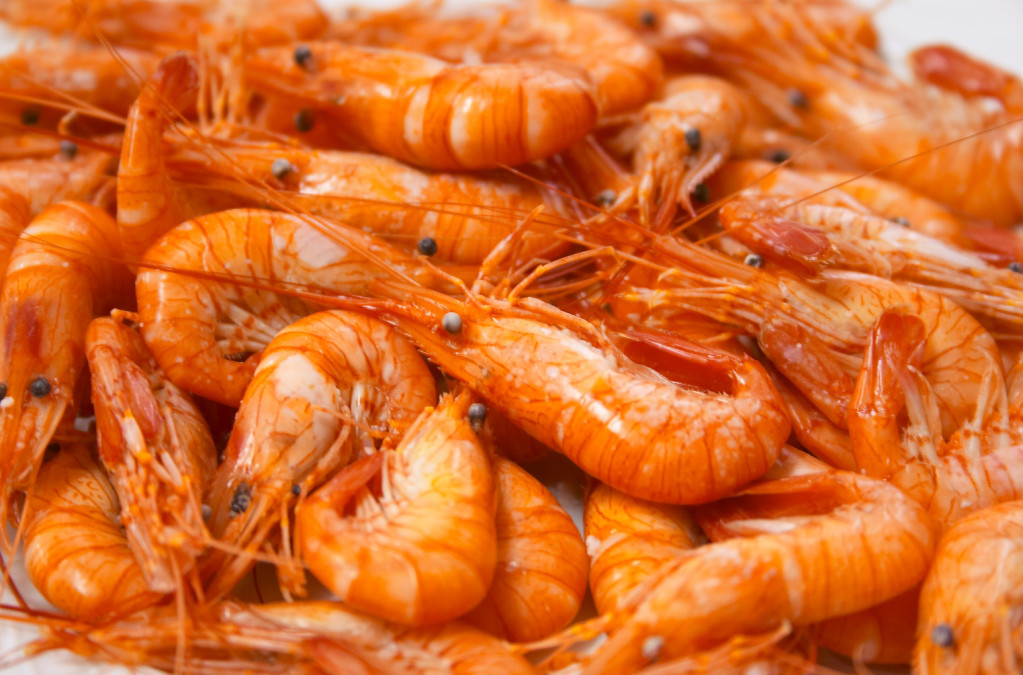 Pesca de camarón arranca el 22 de mayo