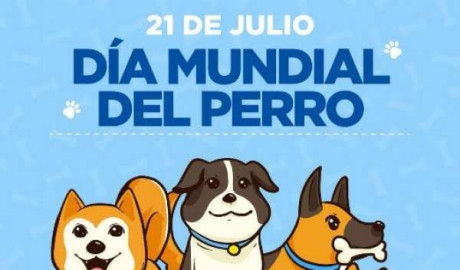 Día Mundial del Perro: Un homenaje al amigo más fiel del ser humano