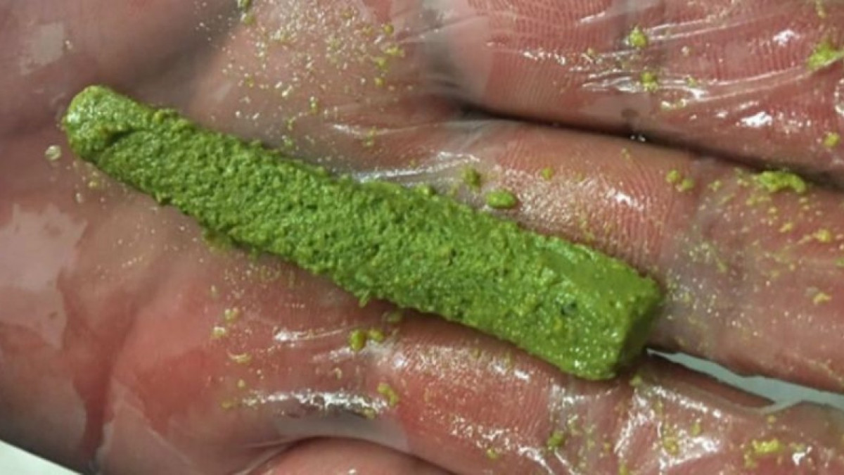 Decomisan nopales de metanfetamina