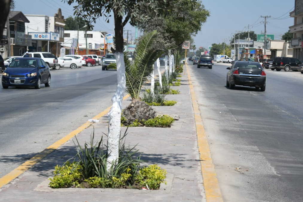 Positiva respuesta al programa “Adopta un Camellón”