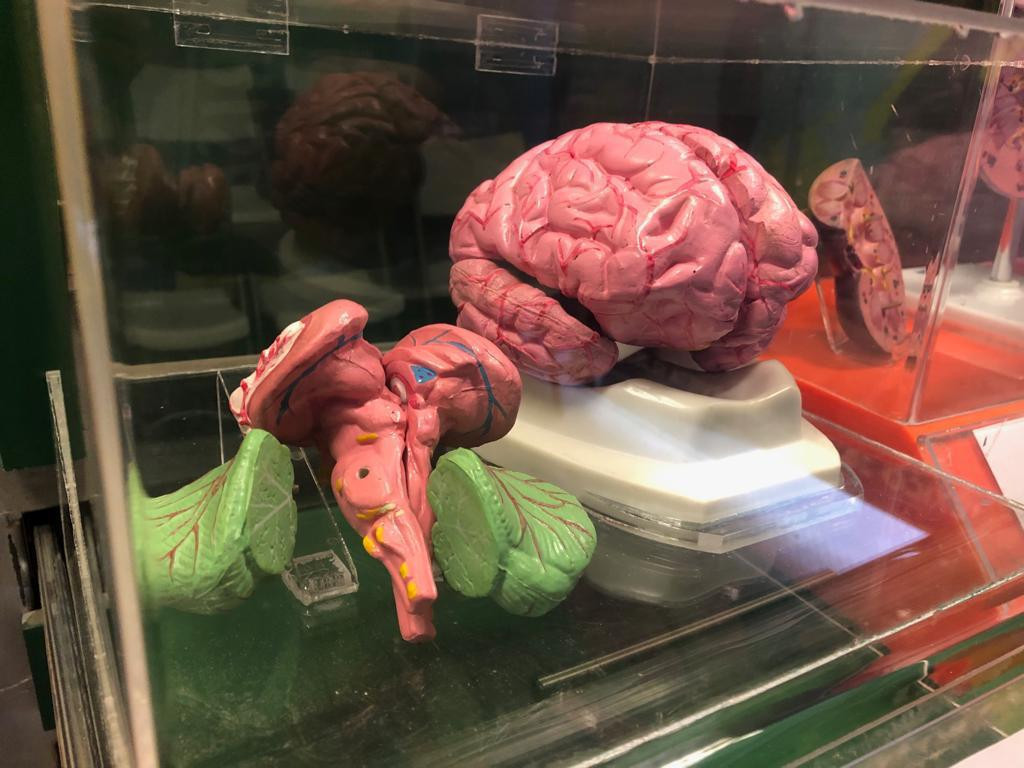 Recibe el Cobat 02 al museo móvil