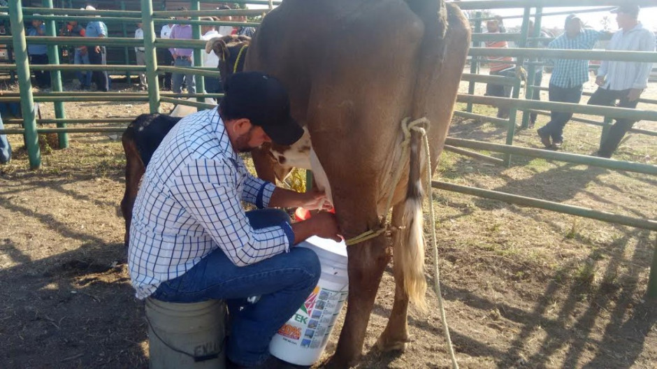 Realizan con éxito primer Foro de Bovinos Leche en Mante