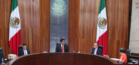 TEPJF ordena a INE emitir lineamientos para regular procesos de Frente Amplio por México y Morena