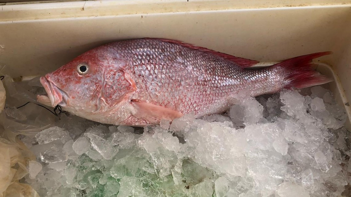 Explotan pescadores contra la empresa “Blanquita” 