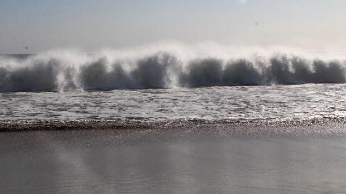 Tsunami llegó 15 minutos después del sismo: Jorge Zavala 
