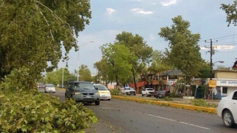 Deja severos daños tromba en Ciudad Acuña