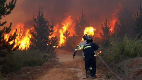 Incendio arrasa con 90 mil hectáreas en Argentina