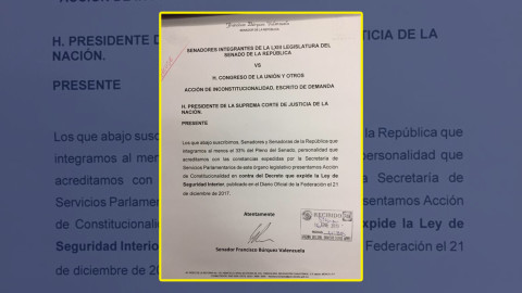 Senadores presentan acción de inconstitucional contra LSI
