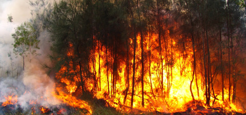 Cambio climático podría empeorar incendios forestales