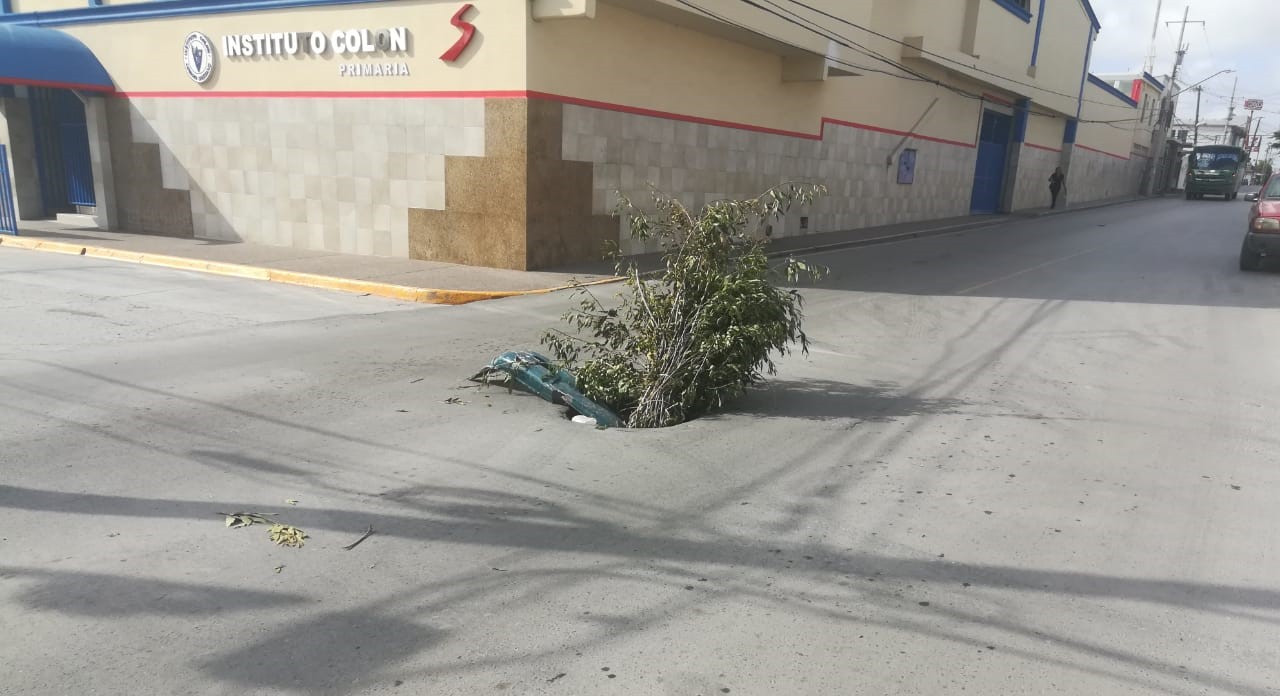 Reposición de tapa de alcantarilla en calle Canales