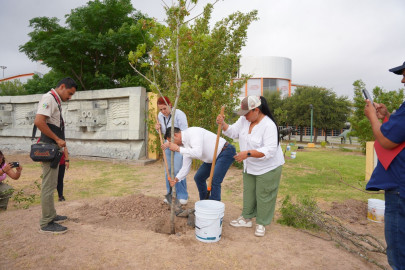 Impulsa Gobierno Municipal campaña de reforestación en espacios públicos y educativos