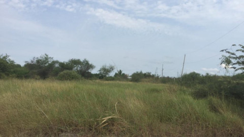 ITAVU Tampico fortalece a la familia con la asignación de predios en lotes situados en Altamira