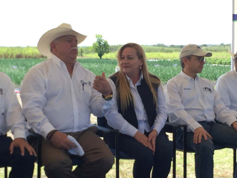 Promueve Gobierno del Estado ampliar opciones de siembra para mantener buen precio 