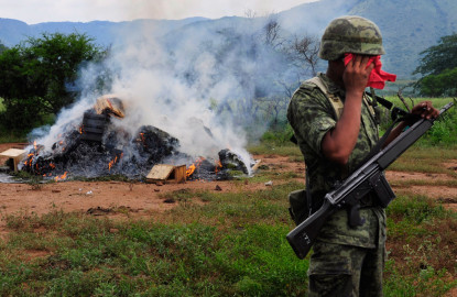 Sedena se opone a legalizar la marihuana en México