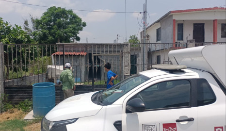 Perro muere por golpe de calor en la colonia Nuevo Amanecer