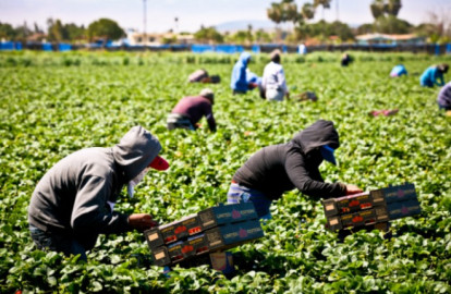Pagan 7 pesos a jornaleras 