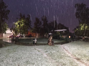 Reporte de nevadas en Piedras Negras