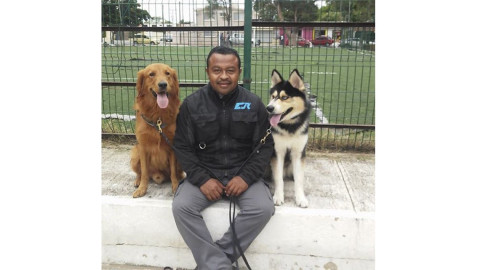 Dogtraining Tampico, entrenamiento y pasión por los caninos