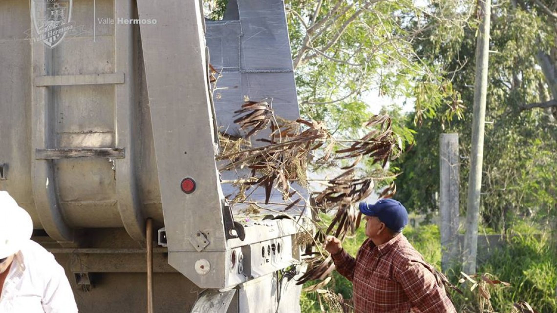 Levantan ramas que obstruían el paso