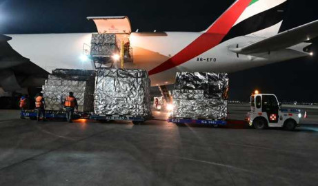 Llegan a México 600 mil dosis de la vacuna anticovid Sputnik