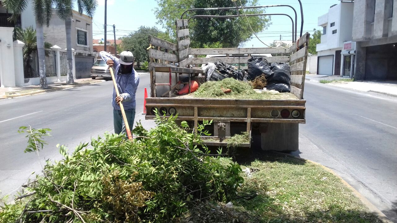 Intensifica Municipio labor de limpieza y descacharrización