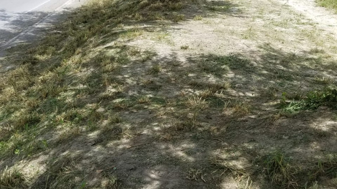 Intensifica Municipio labor de limpieza y descacharrización