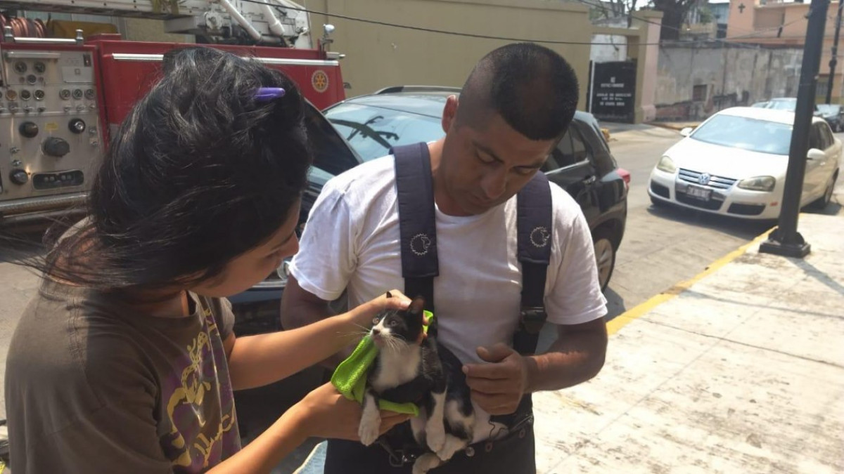 Bomberos al rescate, ponen a salvo a mascota atrapada en vehículo