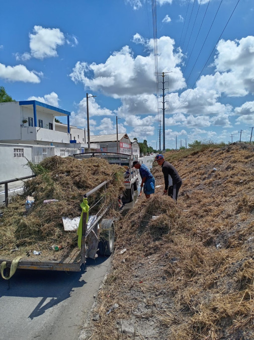 Actividades de mantenimiento del Gobierno Municipal de Reynosa 