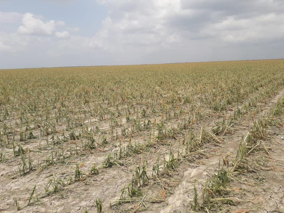 Busca municipio brindar apoyos para productores del campo