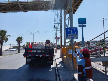 Refuerza Gobierno de Reynosa trabajos de señalización vial para mayor seguridad 