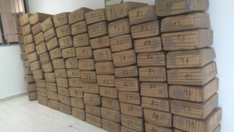 Decomisan una tonelada de marihuana