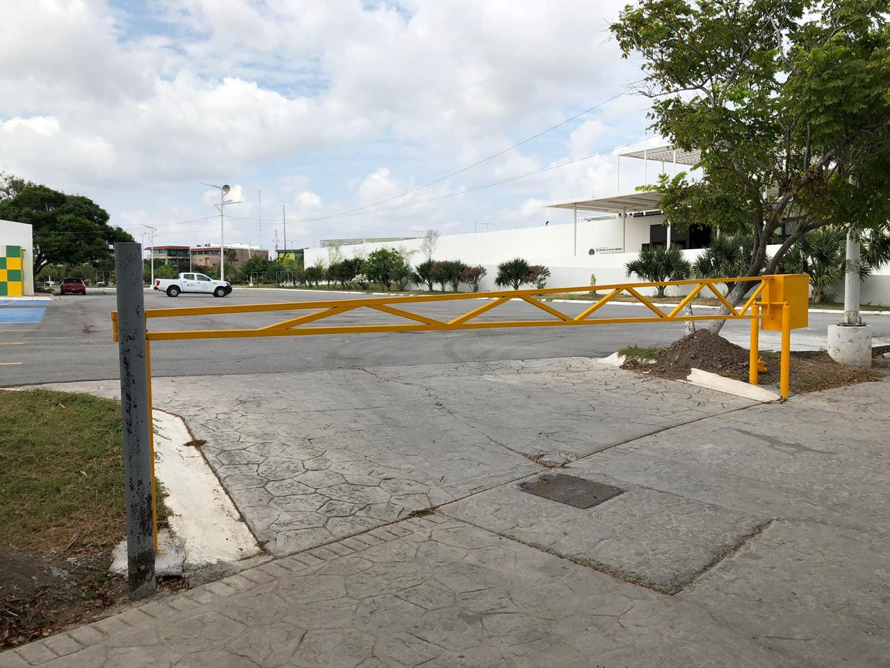 Instalan plumas en el parque Olímpico 