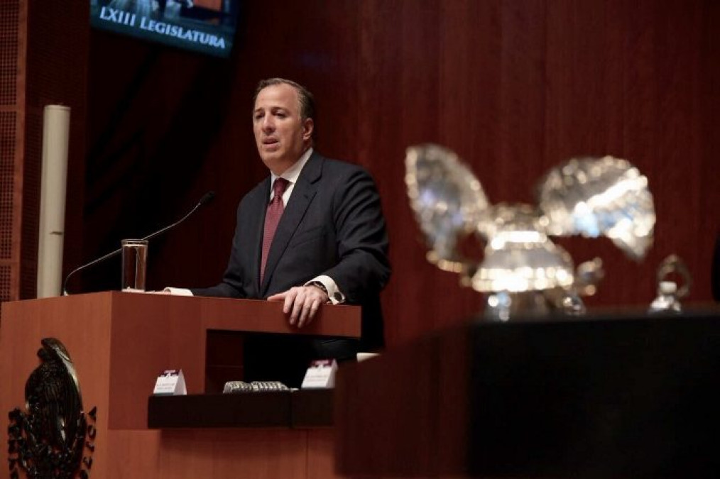 Meade comparece ante el pleno del Senado de la República