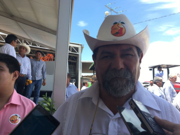 Inseguridad no frena producción citrícola