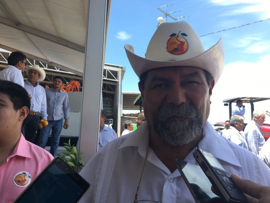 Inseguridad no frena producción citrícola