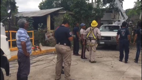 Talan árboles que afectan cableado eléctrico