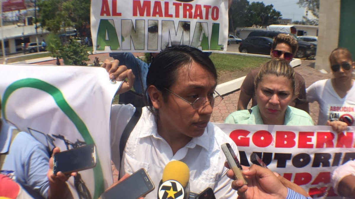 Exigen activistas prohibir el uso de caballos por los carretoneros