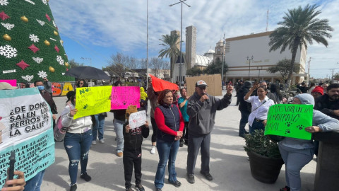 Piden mano dura contra quien maltrate animales