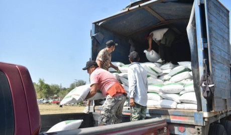 Abren ventanillas para el programa de fertilizante a citricultores