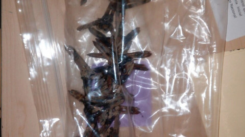 Detienen a dos hombres por atentados a la seguridad de la comunidad