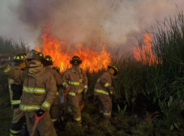 Controlan bomberos y brigadistas incendio en Ciénega de Xochimilco