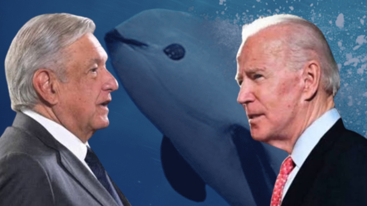 AMLO agradece a Biden por no aplicar sanciones a México por vaquita marina