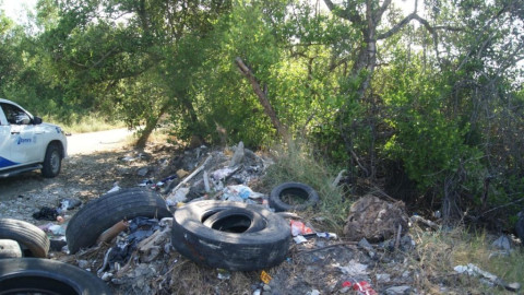 Implementa Dirección de Ecología acciones para contribuir a la conservación del ecosistema