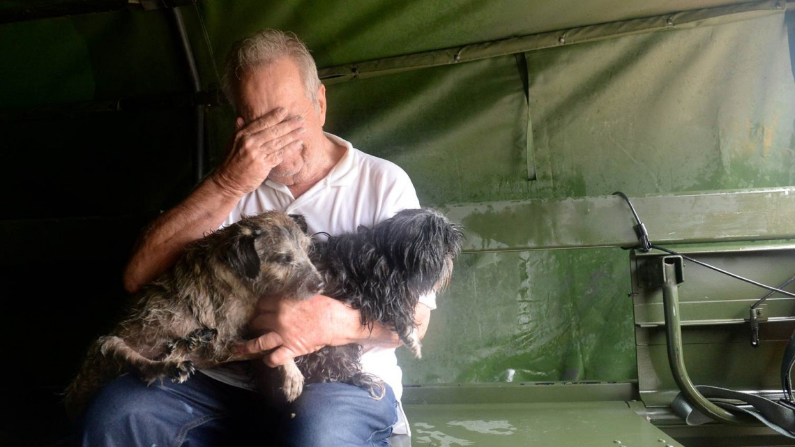 Comienza EU rescate de mascotas victimas de ‘Harvey’
