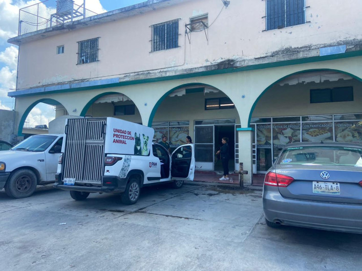 Multan con 5 mil pesos a chofer que mató a perrita